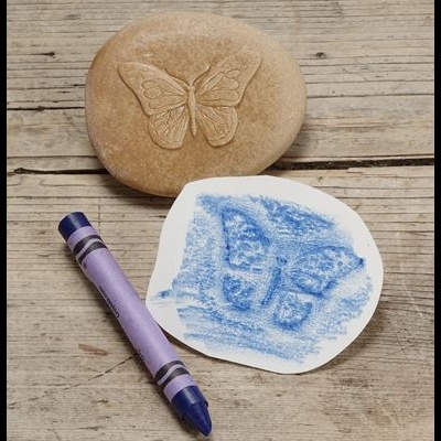 Vamos Investigar - Insetos