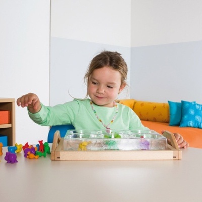 Bandeja com fundo transparente