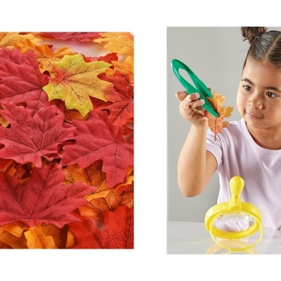 Box Estações do Ano - O Outono