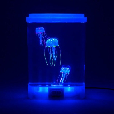 Pequeno Tanque de Medusas