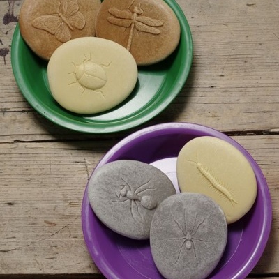 Vamos Investigar - Insetos