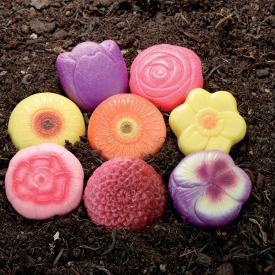 Flores ? Pedras de Jogo Sensorial