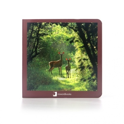 Os animais - selecione