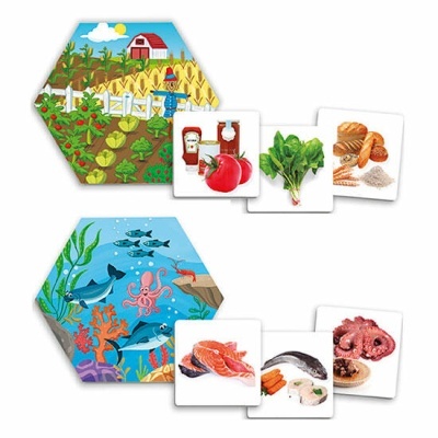 De onde vêm os alimentos