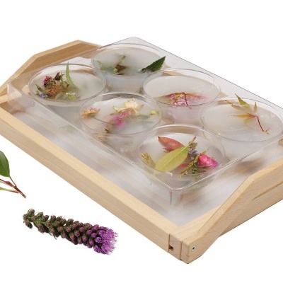 Bandeja com fundo transparente