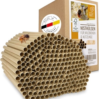 Tubos de nidificação Abelhas