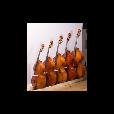 Instrumentos Contrabaixo