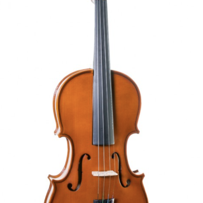 Viola clássica castanha com detalhes pretos em fundo branco