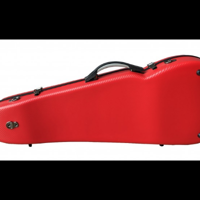 Performance 3D - Viola