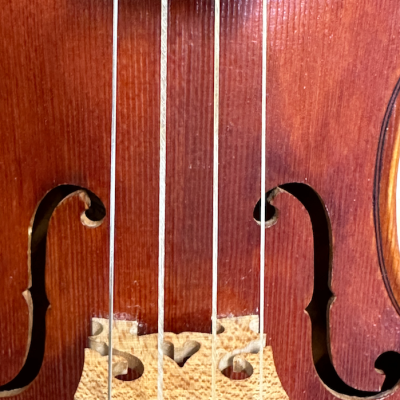 Violino Barroco Marcelo Vianna da Cruz