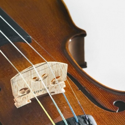 Violino Stentor Student II