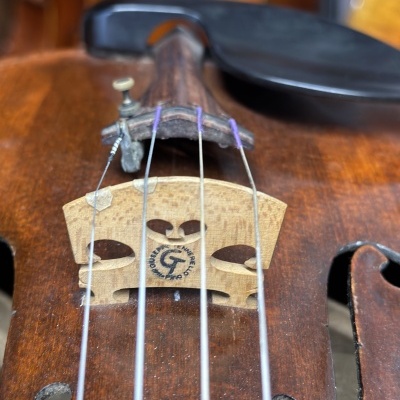 Violino Lecchi, 1921