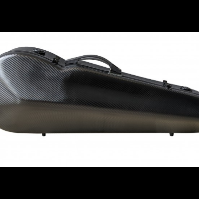 Performance 3D - Viola