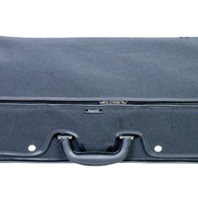 Rapsody viola CSL003A