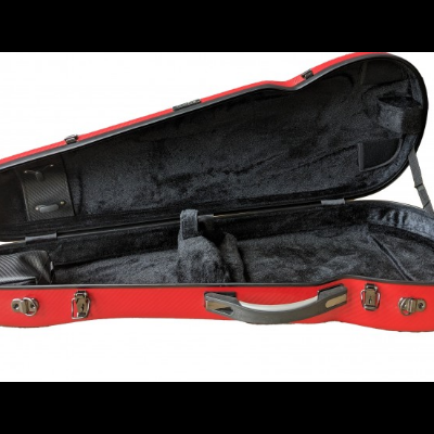 Performance 3D - Viola