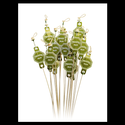 Olive Stiff - Violino