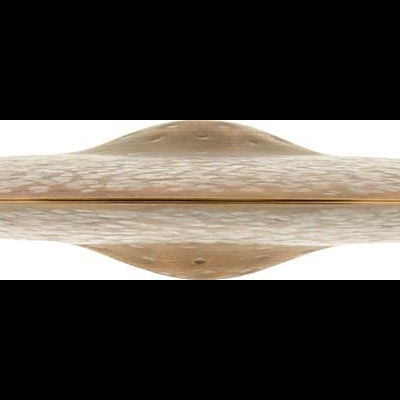 Vagem de baunilha castanha em fundo branco