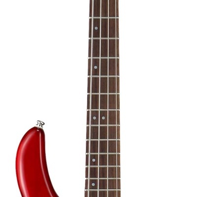 Cort ACTION BASS PLUS TR