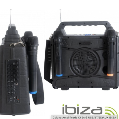 Coluna amplificada com ecrã e 2 micros- Karaoke