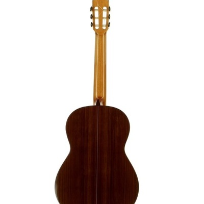 Viola acústica vista de trás com corpo em madeira escura e braço em madeira clara