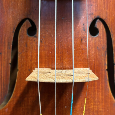 Giuseppe Tenneriello - 2022