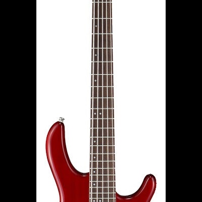 Cort ACTION BASS V PLUS TR