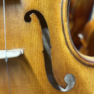 Viola de Arco 2022 -