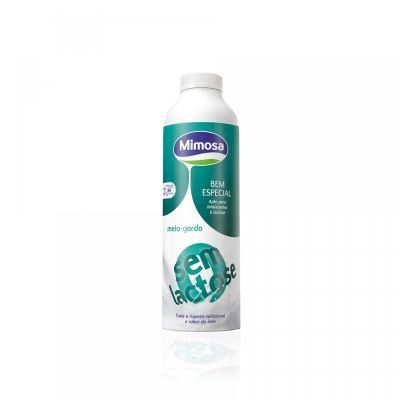 Leite Magro Sem Lactose 1L