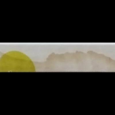 Lombada de livro branco com texto e dois círculos coloridos