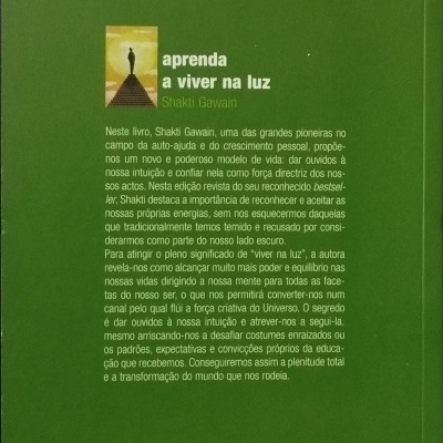 Capa verde de livro com texto branco e amarelo e figura de pessoa numa escadaria