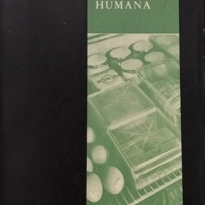 Capa de livro A ALIMENTAÇÃO HUMANA com imagem de ovos e recipientes no fundo verde