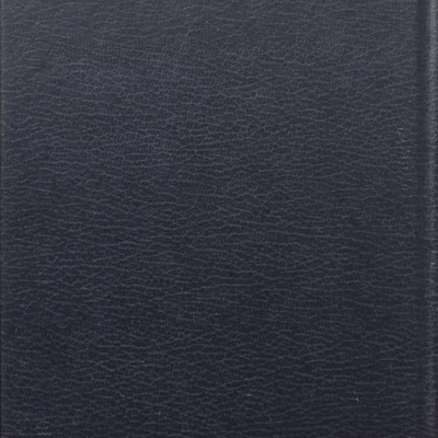 Amor de Perdição - Camilo Castelo Branco