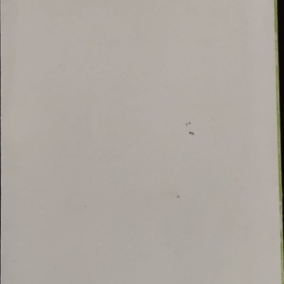 Superfície branca com pequenas manchas e borda verde à direita