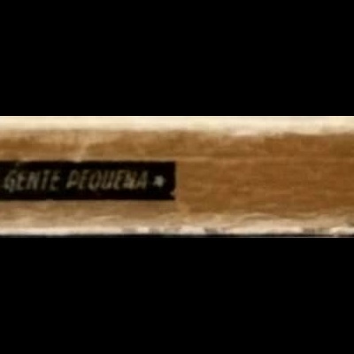 Homem das Mil Invenções: Pequena História de Edison e dos Seus Inventos - Adolfo Simões Muller