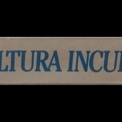 Cultura Inculta: Ensaio Sobre o Declínio da Cultura Geral - Allan Bloom
