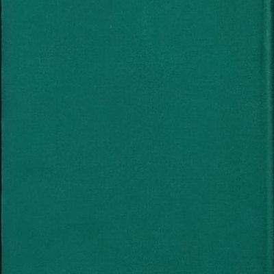 Livro capa dura verde liso