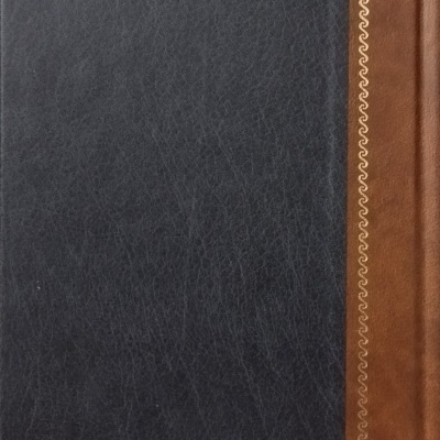 Alma - Manuel Alegre