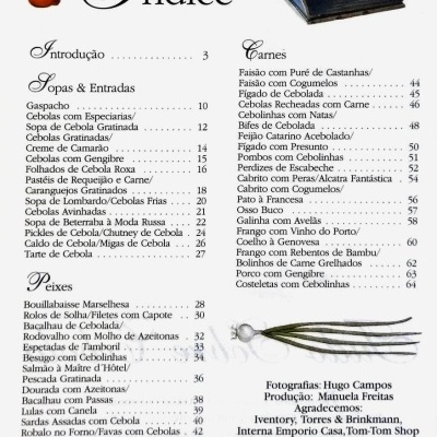 Índice do livro Tudo Sobre Cebola com listas de receitas e ilustrações de cebolas.