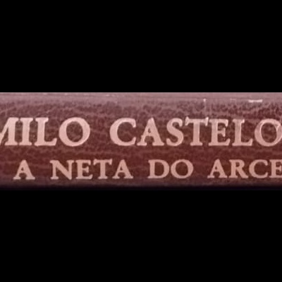 Espinha de livro castanha com texto branco e adornos dourados.