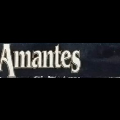 Amigos e Amantes - Barbara Taylor Bradford