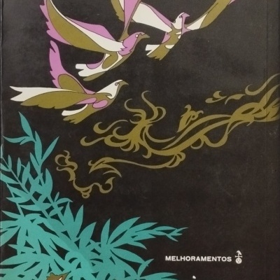 Chuva Crioula - José Mauro de Vasconcelos