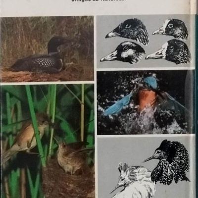 Capa de livro O Mundo da Natureza com fotos e ilustrações de aves.