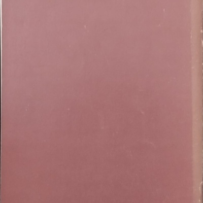 Livro com capa castanho avermelhado sem texto