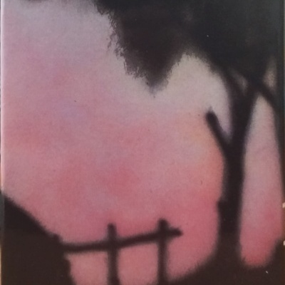 Silhuetas de árvore e vedação com fundo rosa e roxo