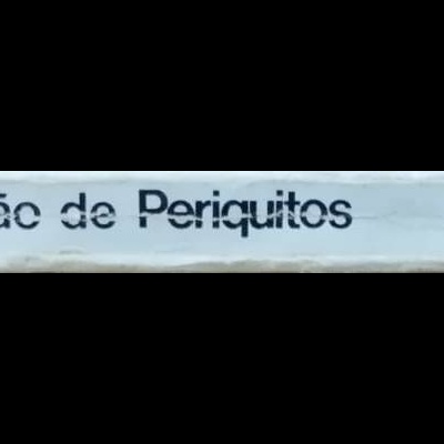 Livro com título 'abc da Criação de Periquitos' na lombada