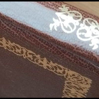 Livro com capa castanha e detalhes dourados sobre mesa de madeira.