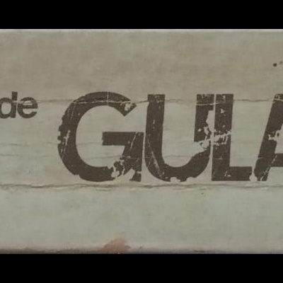 Dorso de livro com título Arquipélago de GULAG e autor Alexandre Soljenitsin em fundo bege.
