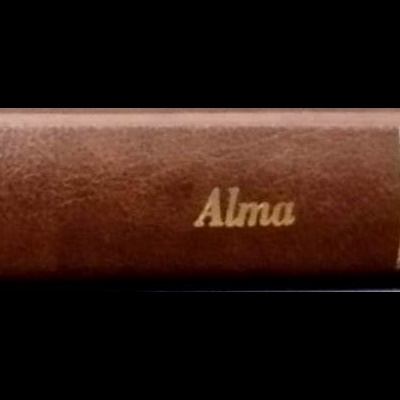 Alma - Manuel Alegre