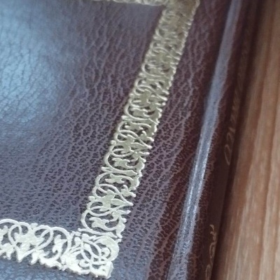 Livro com capa de couro castanho e moldura dourada ornamentada