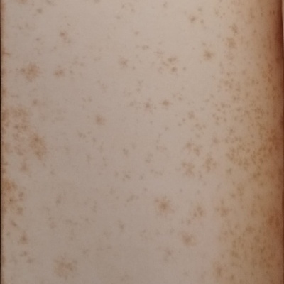 Autómato - Alberto Moravia